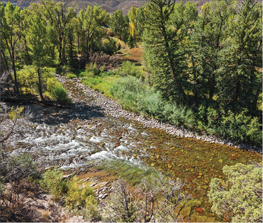 Snowmass Land for Sale